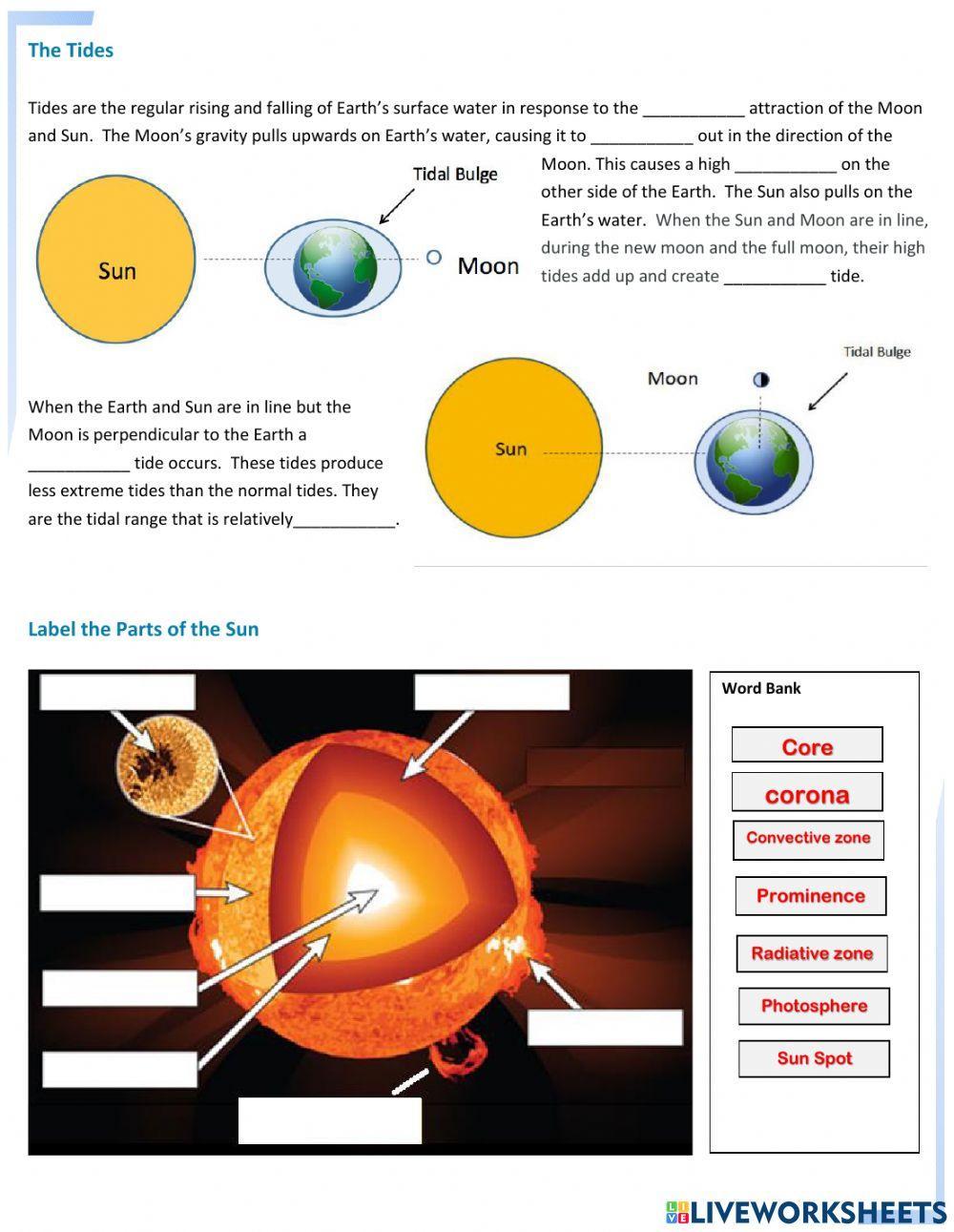 Earth, Moon, and Sun Interaction