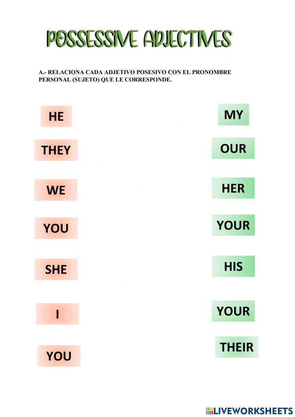 Possessive adjectives.