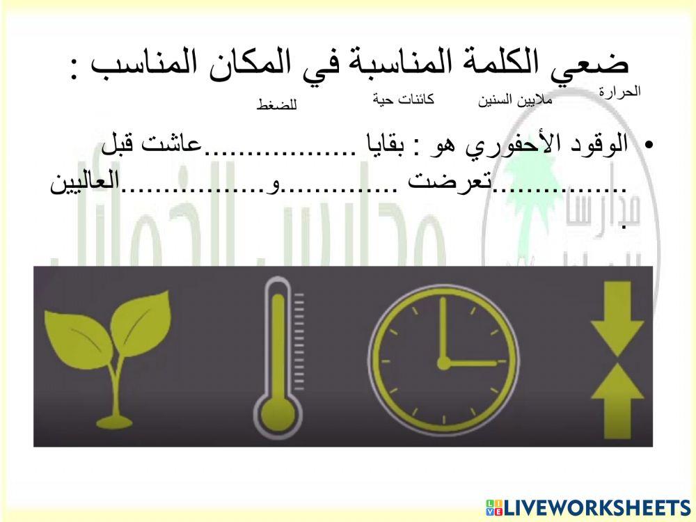 الوقود الأ حفوري