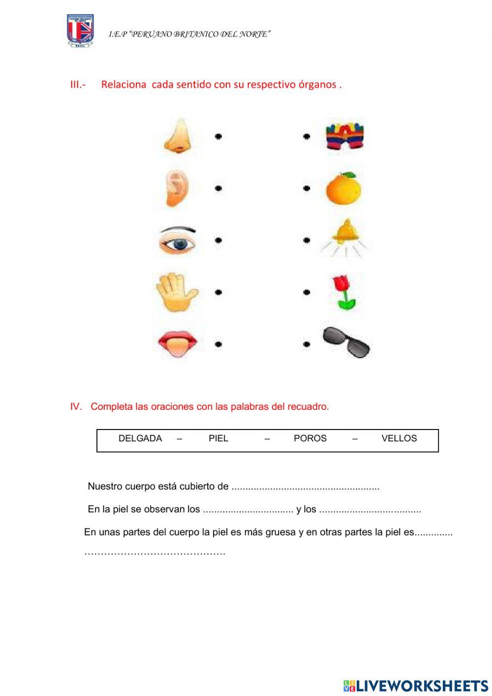 Examen I unidad  Ciencia