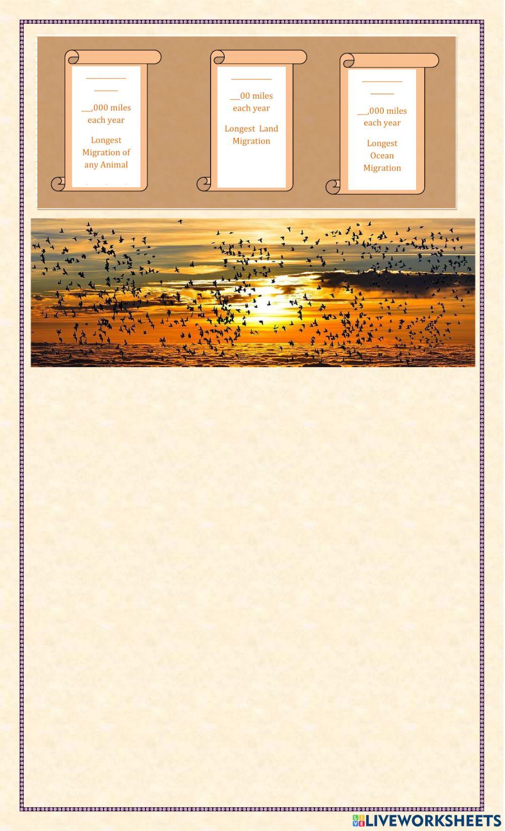 Animal migration with a video