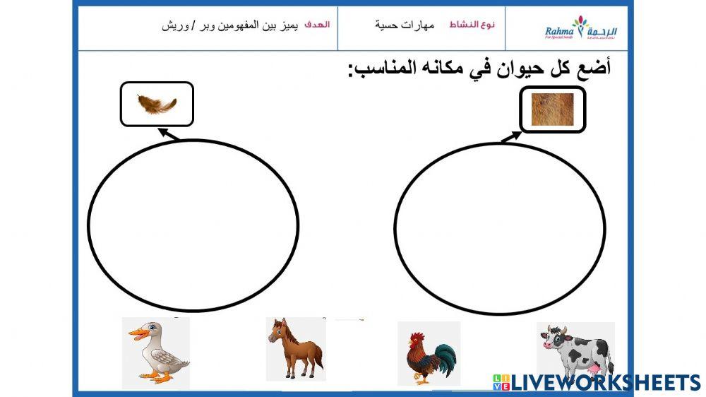 2مهارات حسية