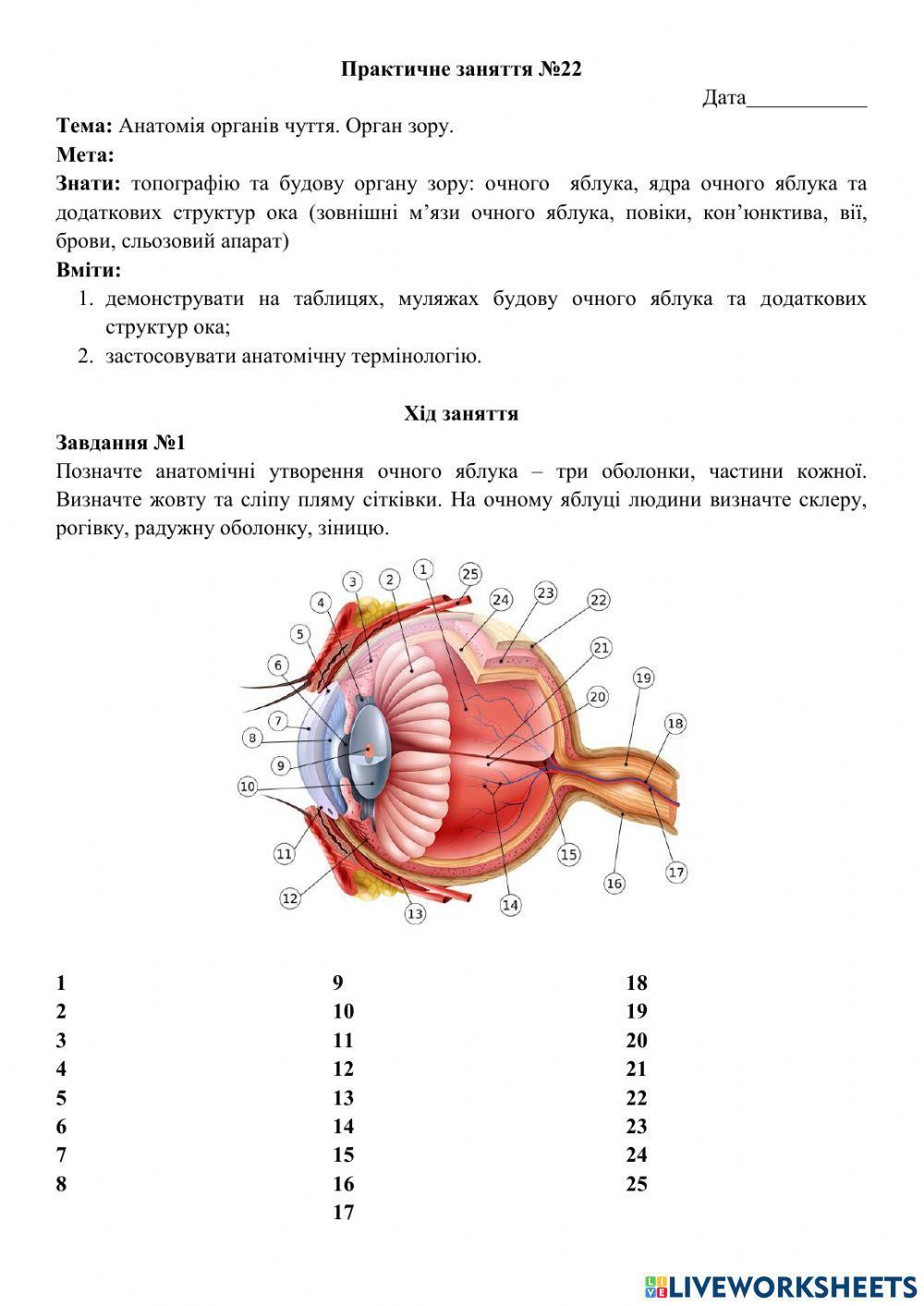 Практичне заняття №22