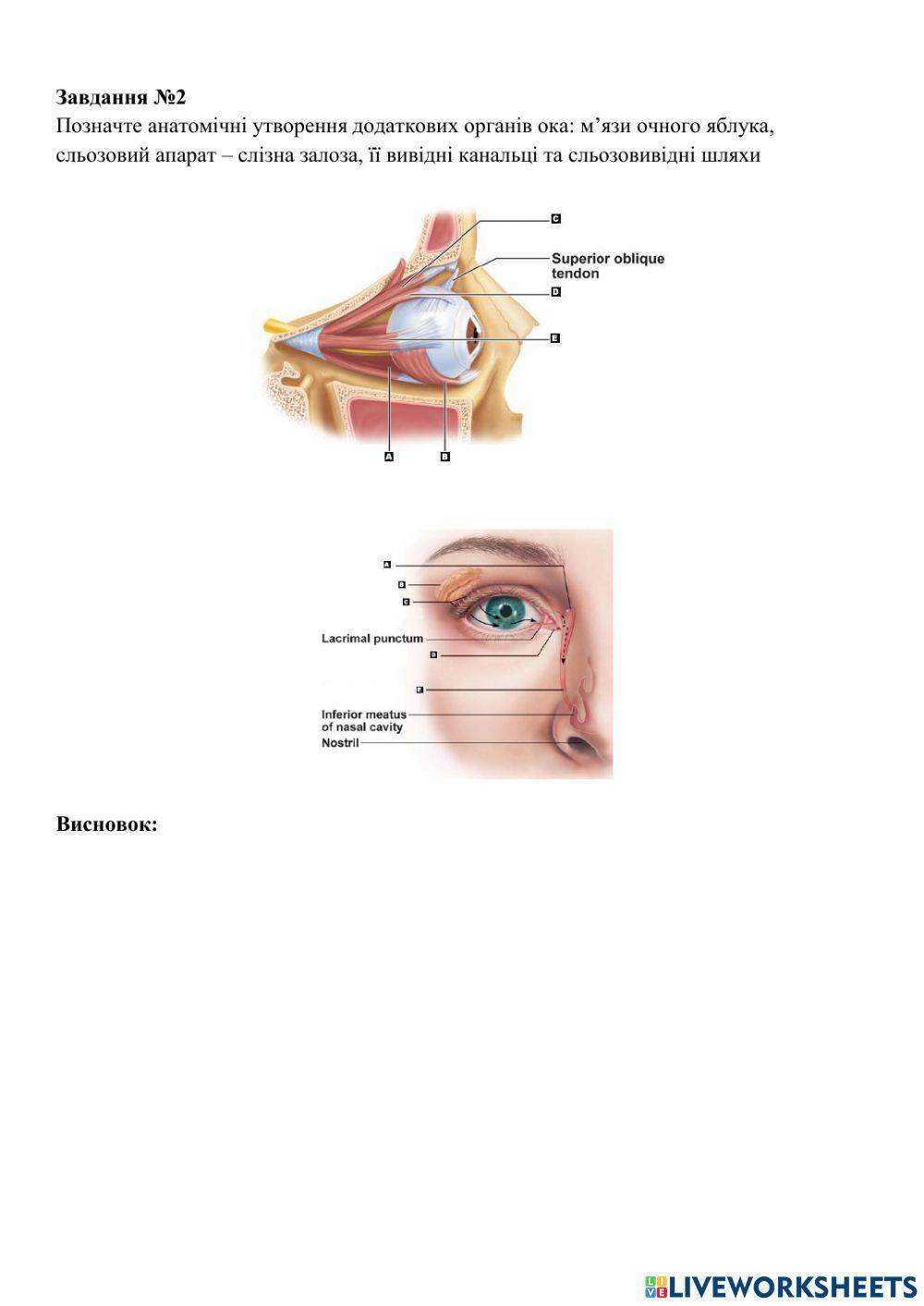 Практичне заняття №22