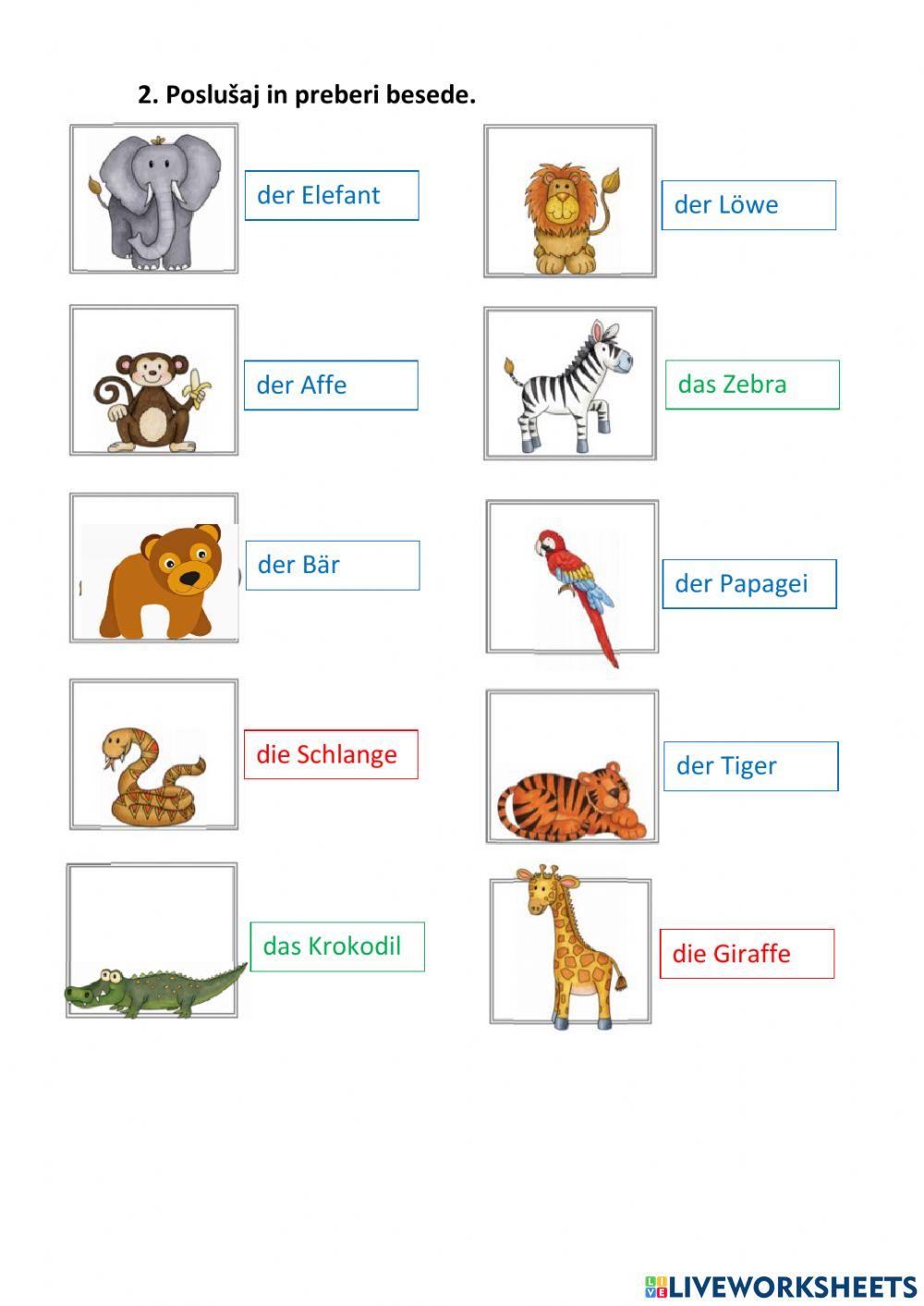 Tiere im Zoo2 - 3. razred