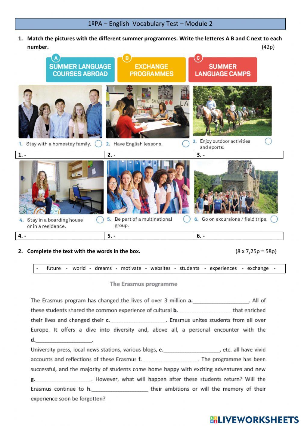 Vocabulary Worksheet