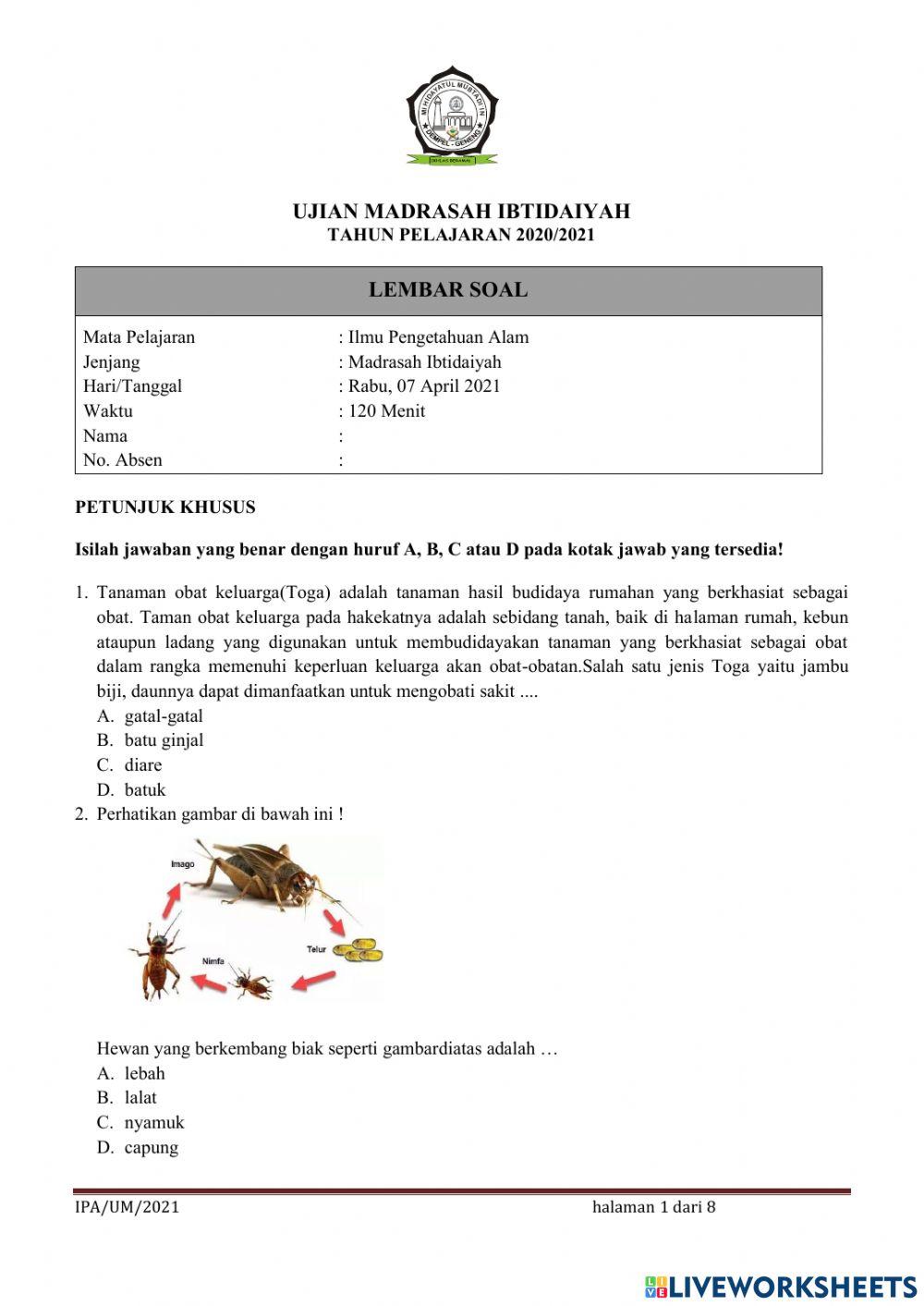 UMBKS Ilmu Pengetahuan Alam