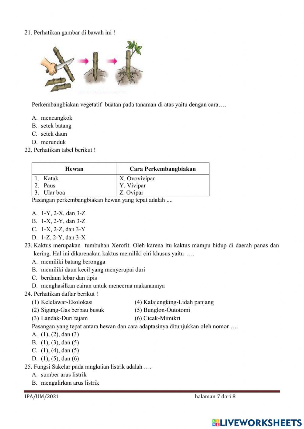 UMBKS Ilmu Pengetahuan Alam