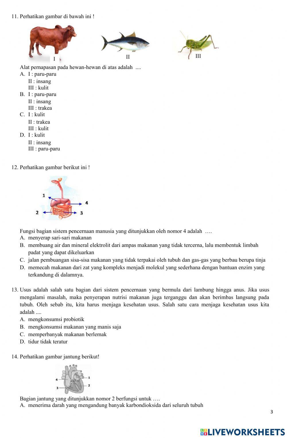 Umbks kelas 6 2020-2021