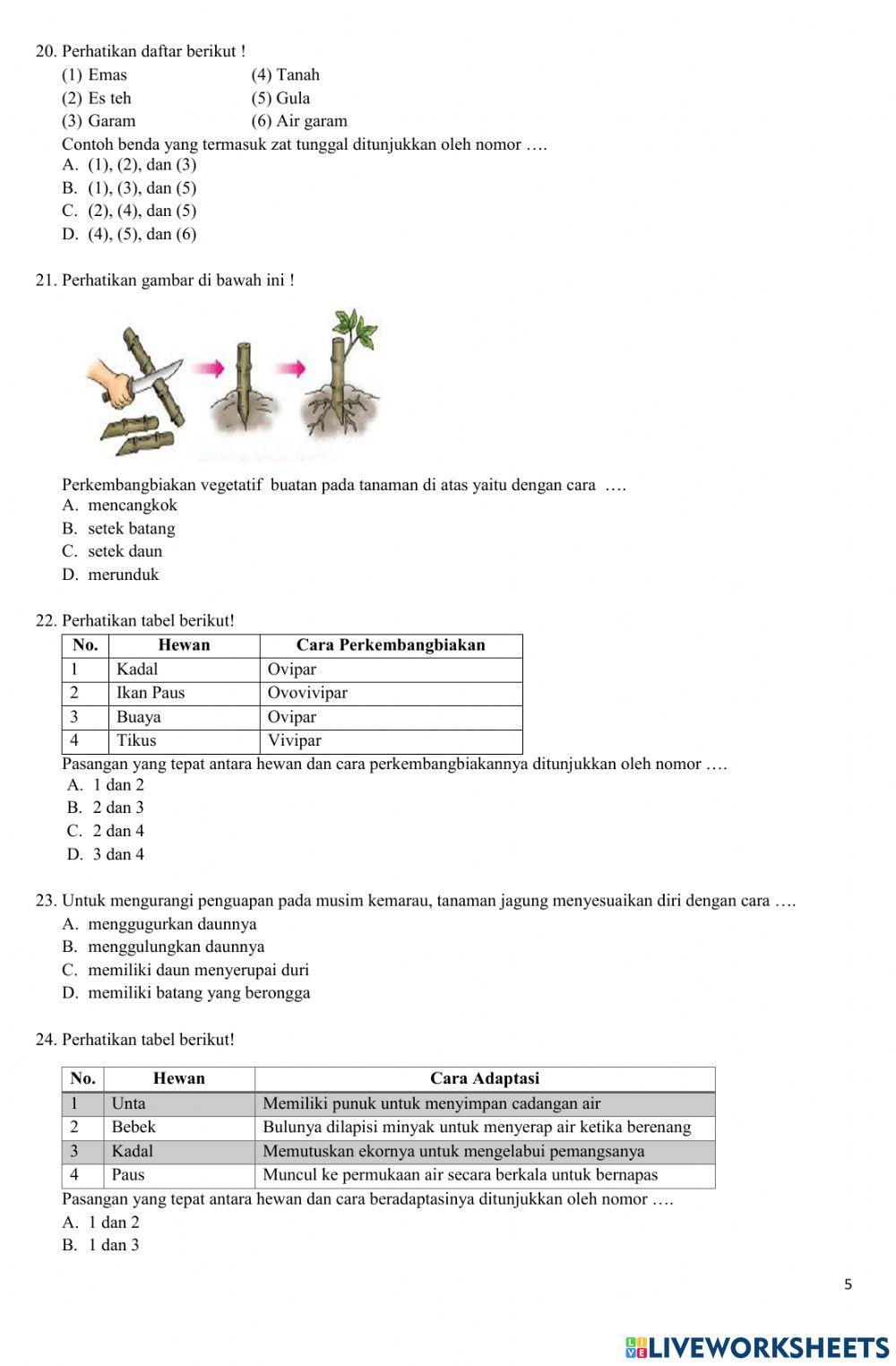 Umbks kelas 6 2020-2021