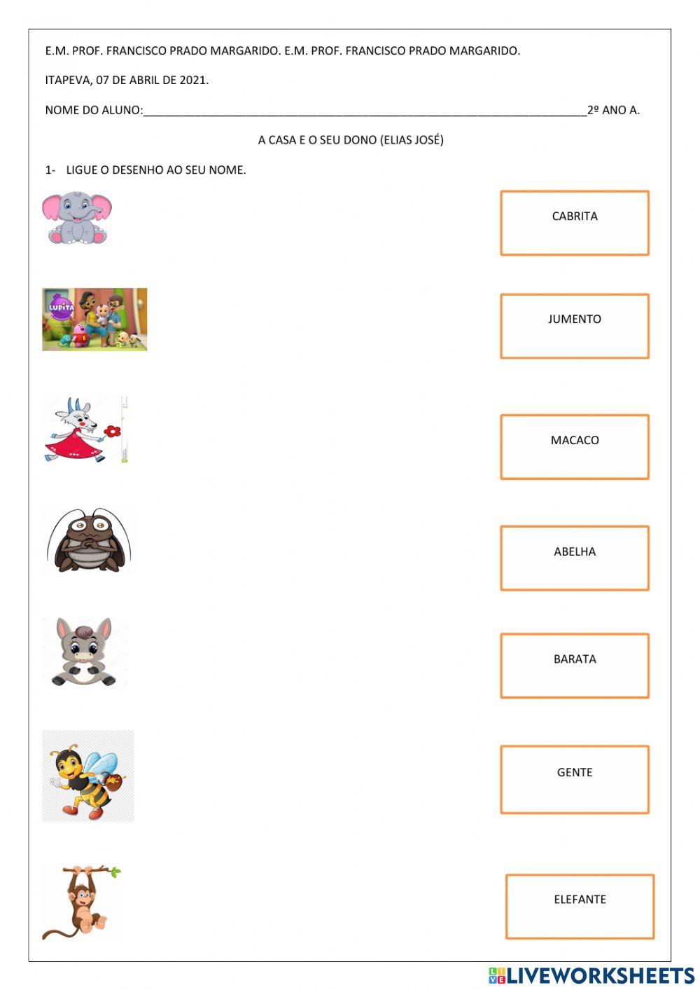 Alfabetização 2º ano