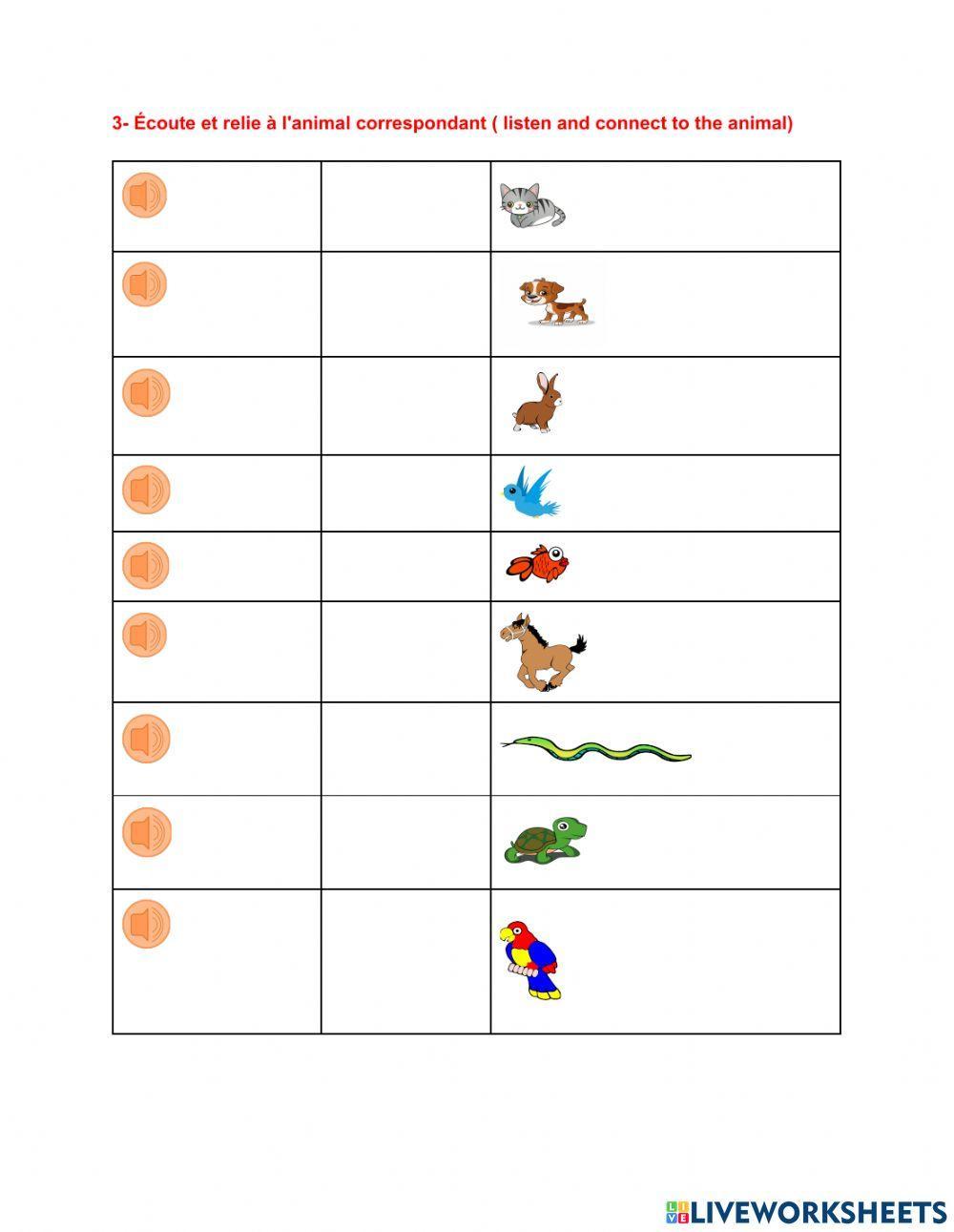 Révision :taille ,couleur, animaux domestiques