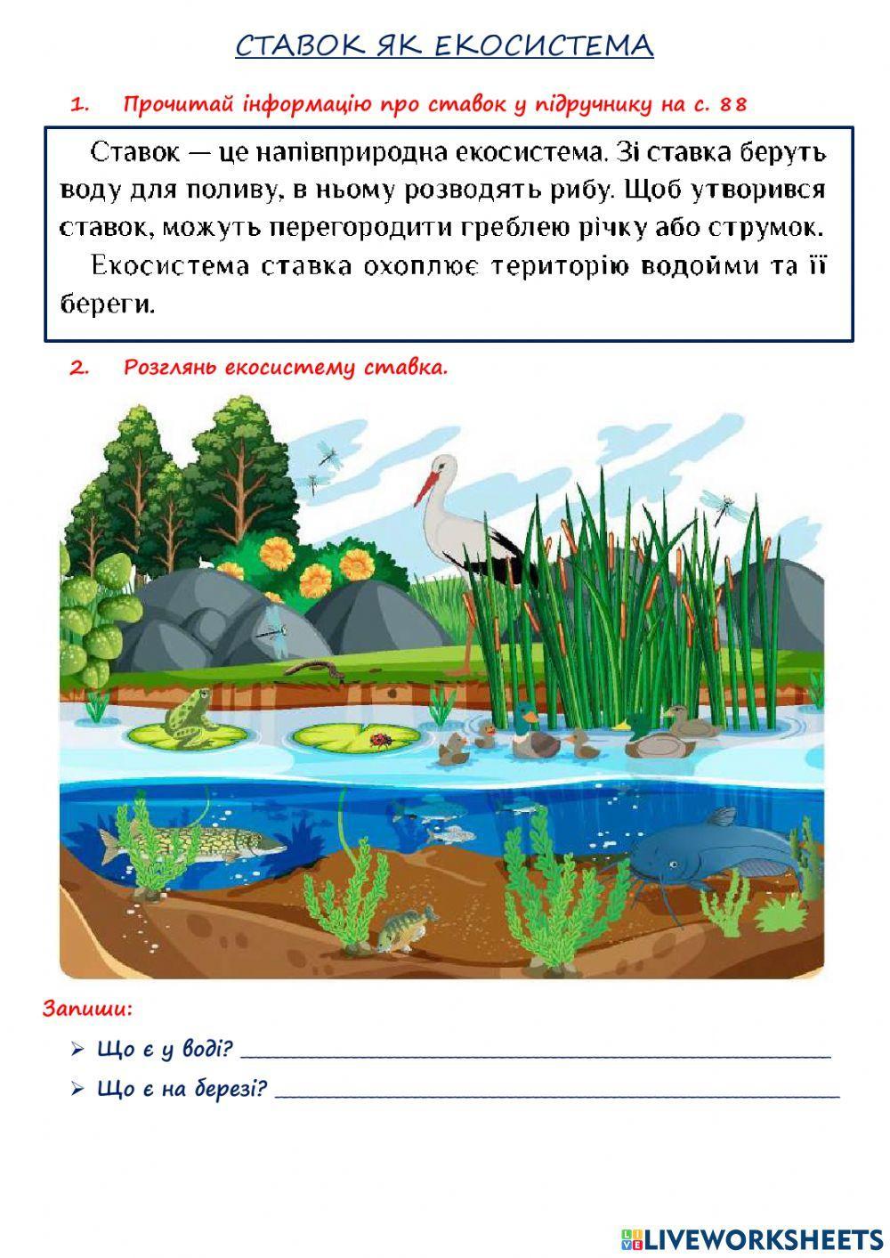 Екосистема ставка
