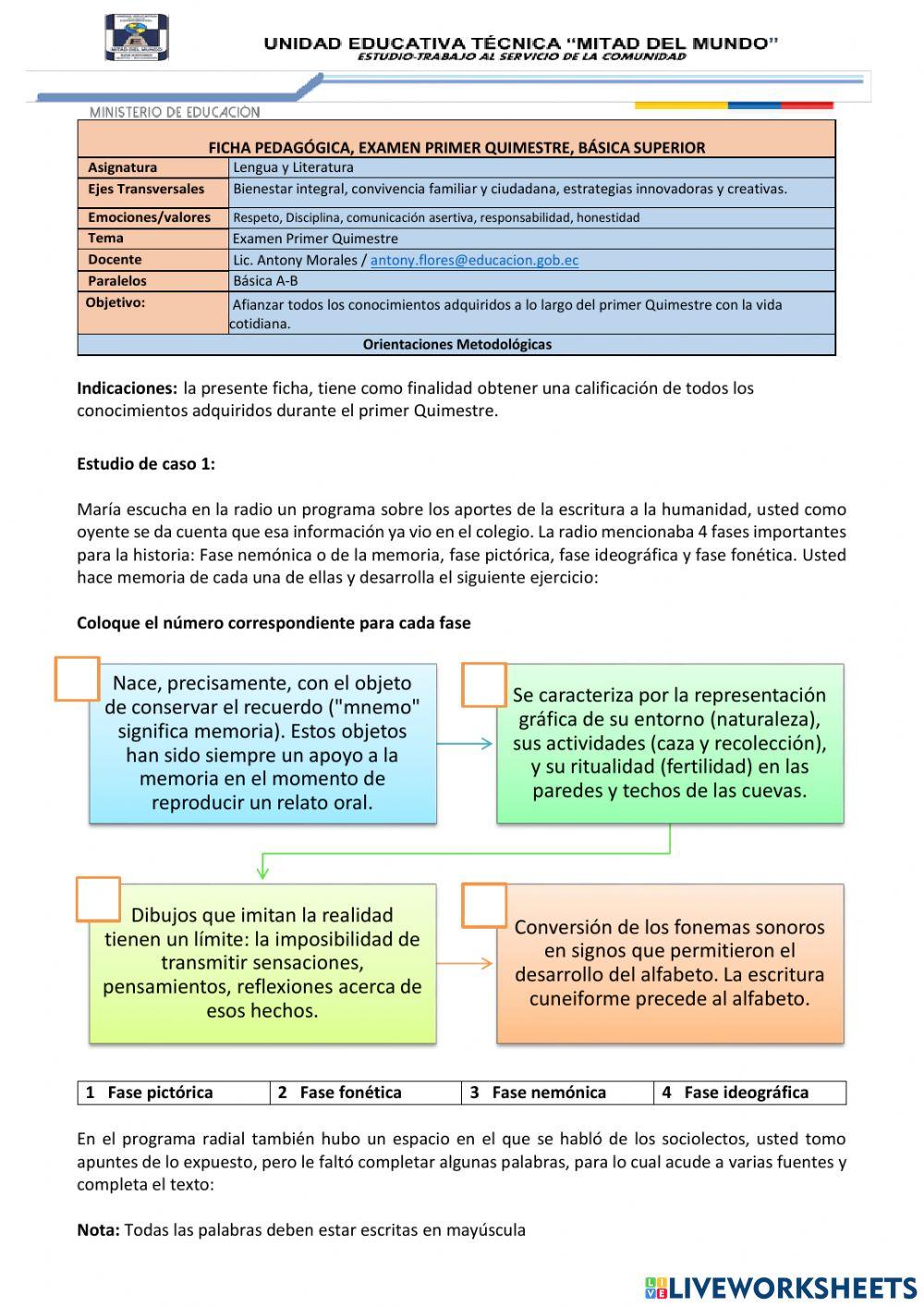 Evaluación Quimestral, Básica