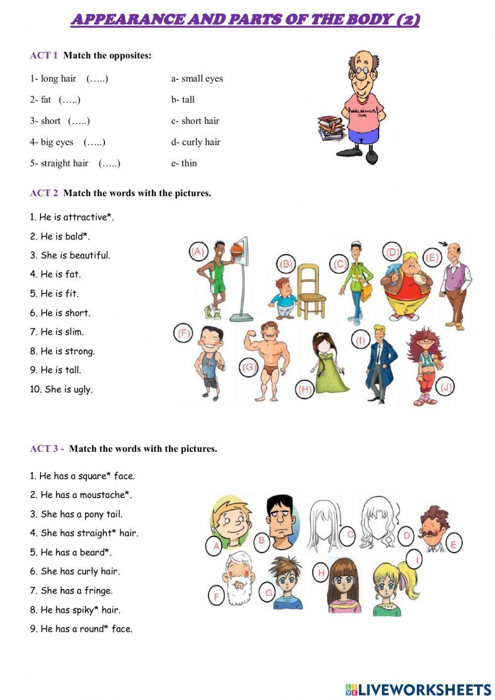 Physical description 2