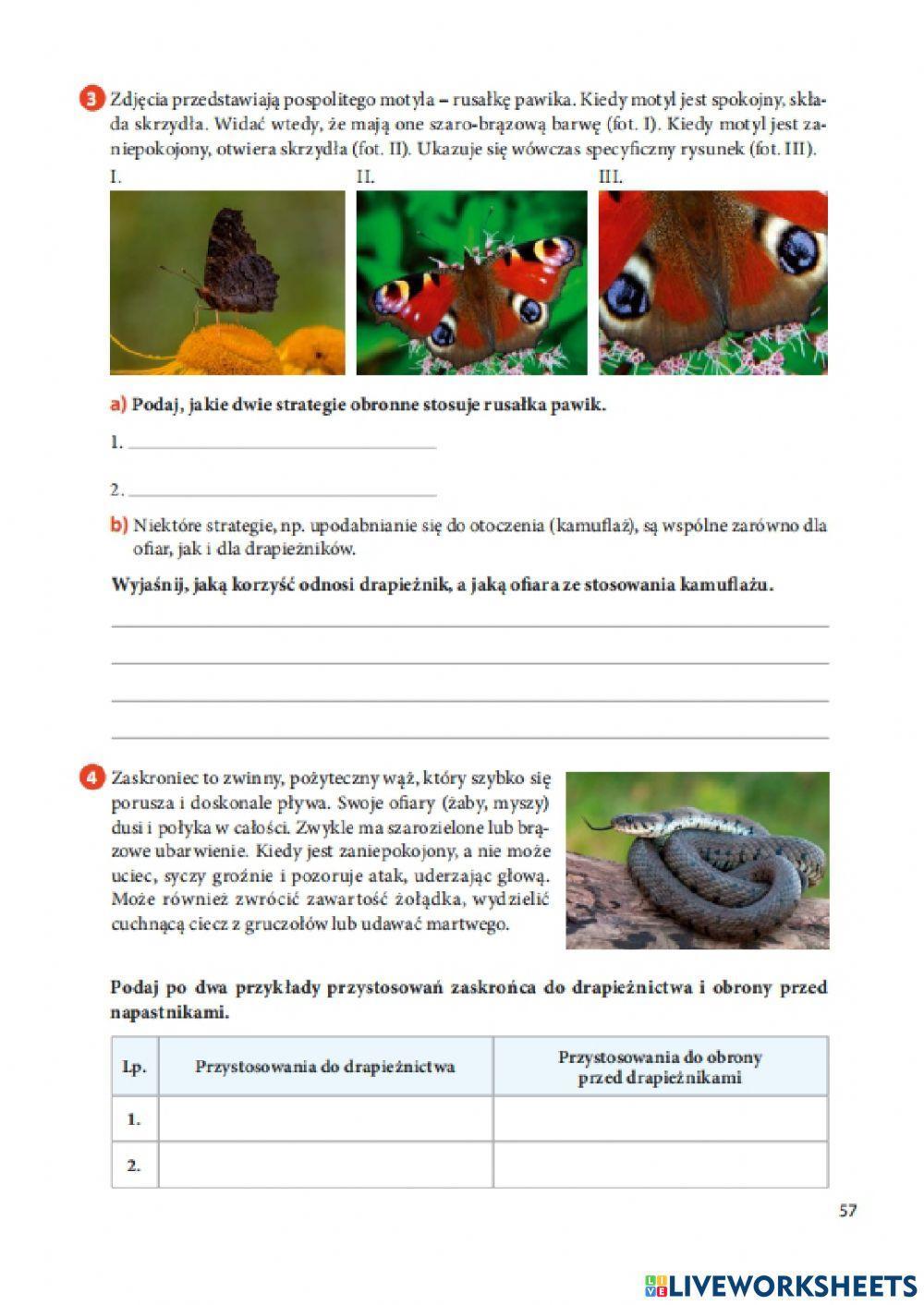 Drapieżnictwo i roślinożerność