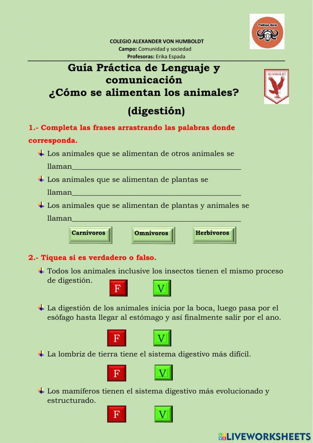 Clasificacion de los animales segun su alimentacion