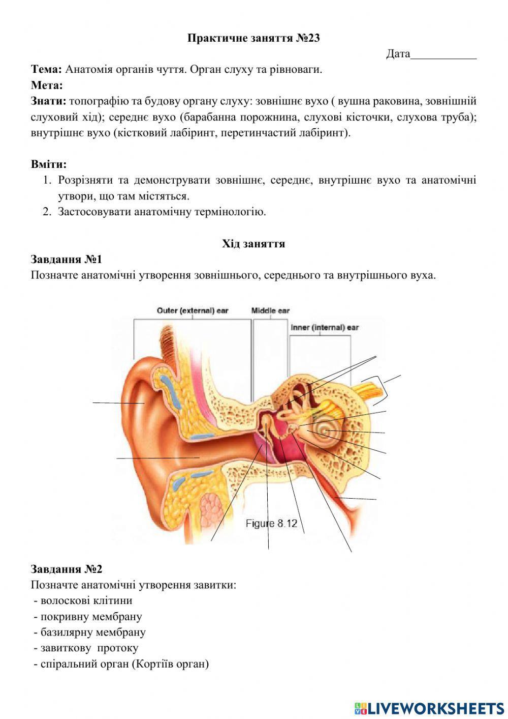 Практичне заняття №23