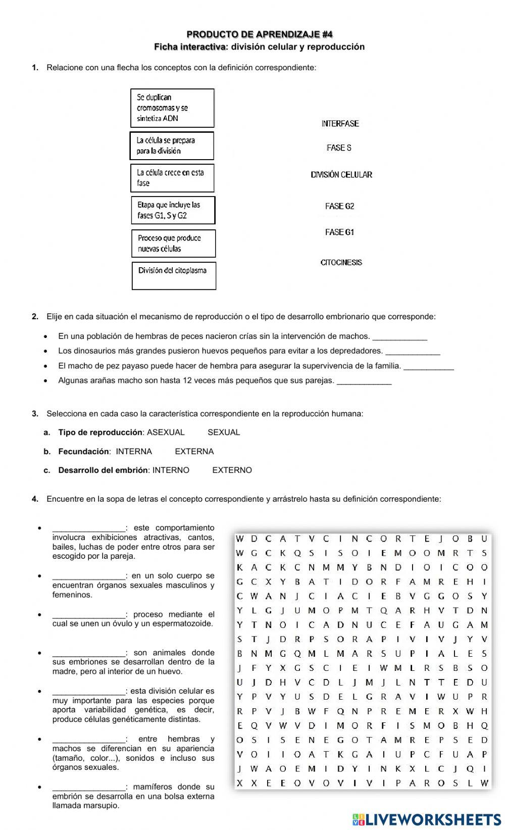 Reproducción y división celular