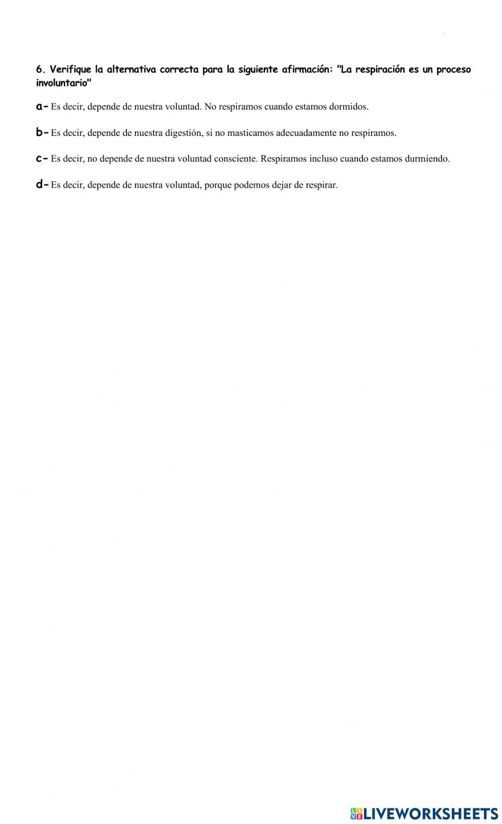 Sistema respiratorio