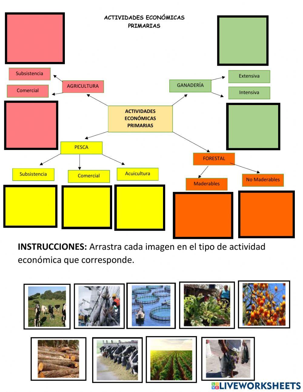 Actvidades económicas primarias