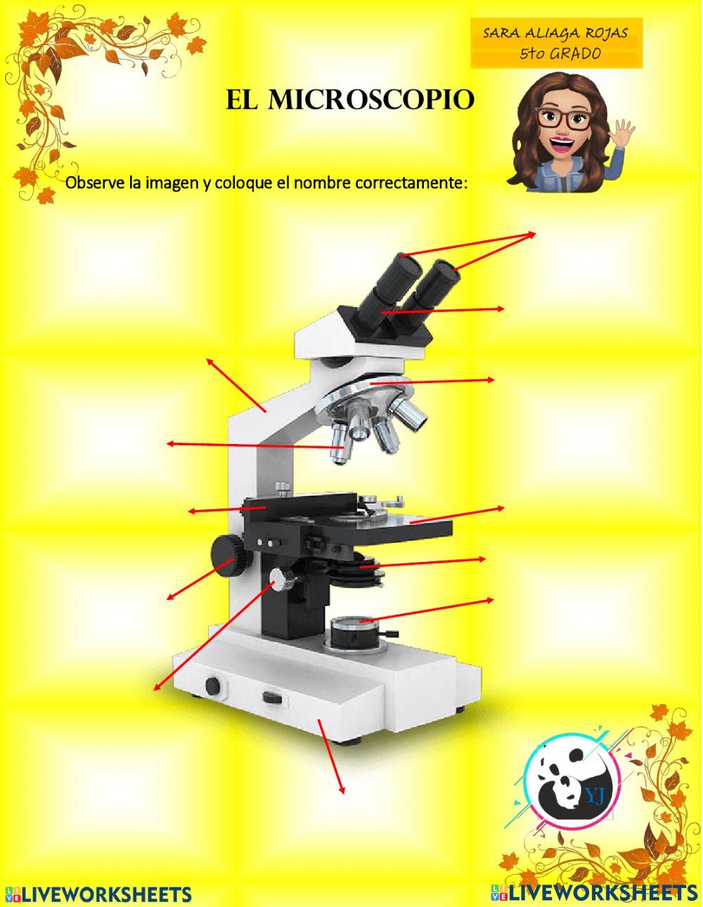 Partes del microscopio