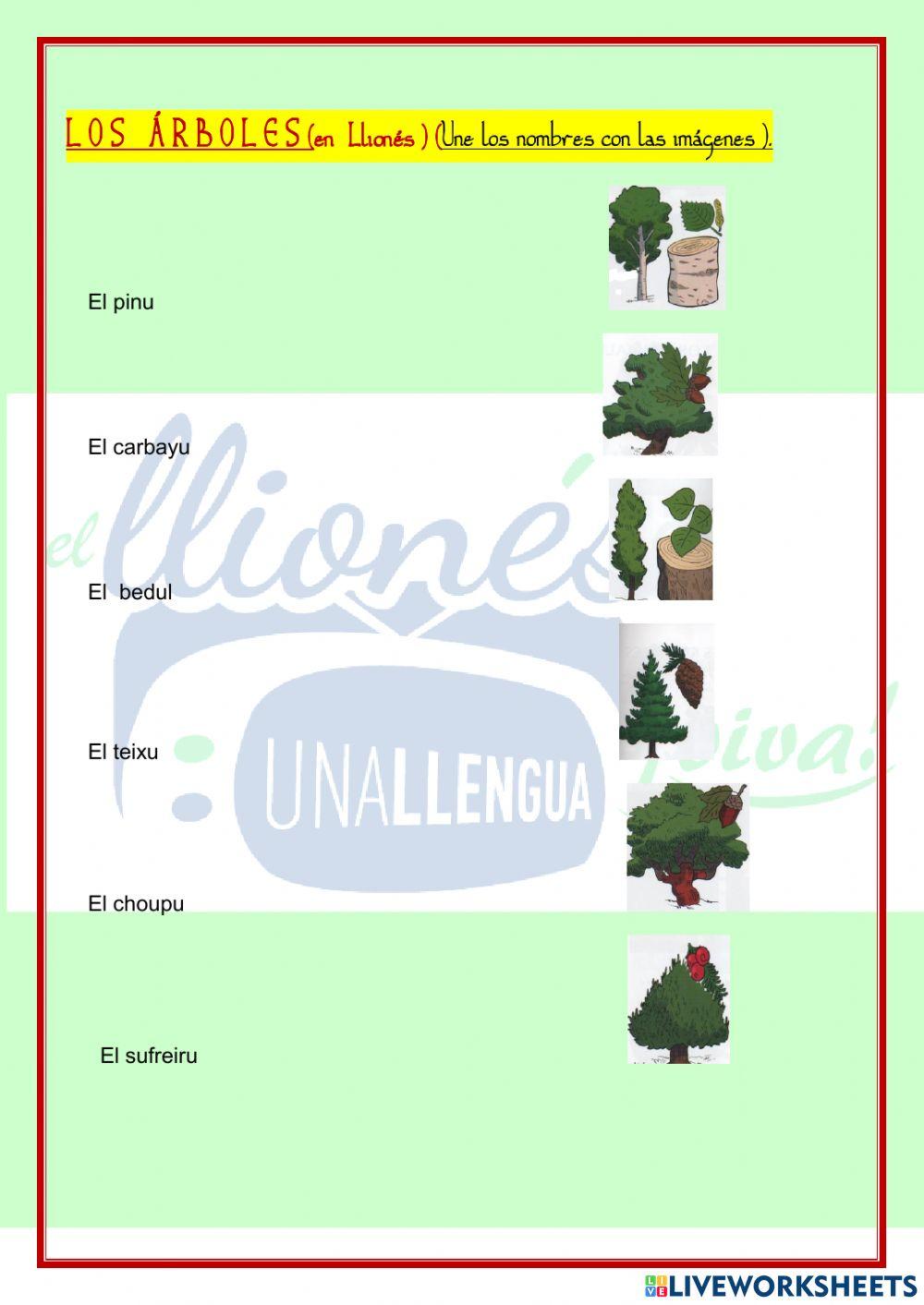 Llïonés. LOS ÁRBOLES.2º-3º de primaria