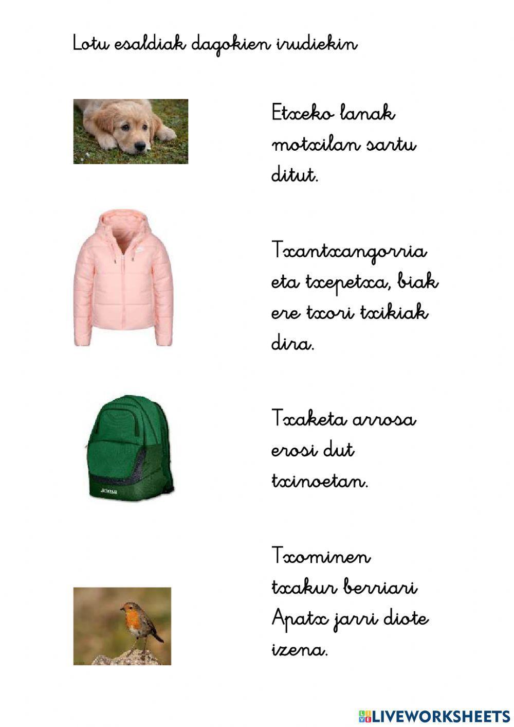 TX esaldiak irakurri TX esaldiak irakurri
