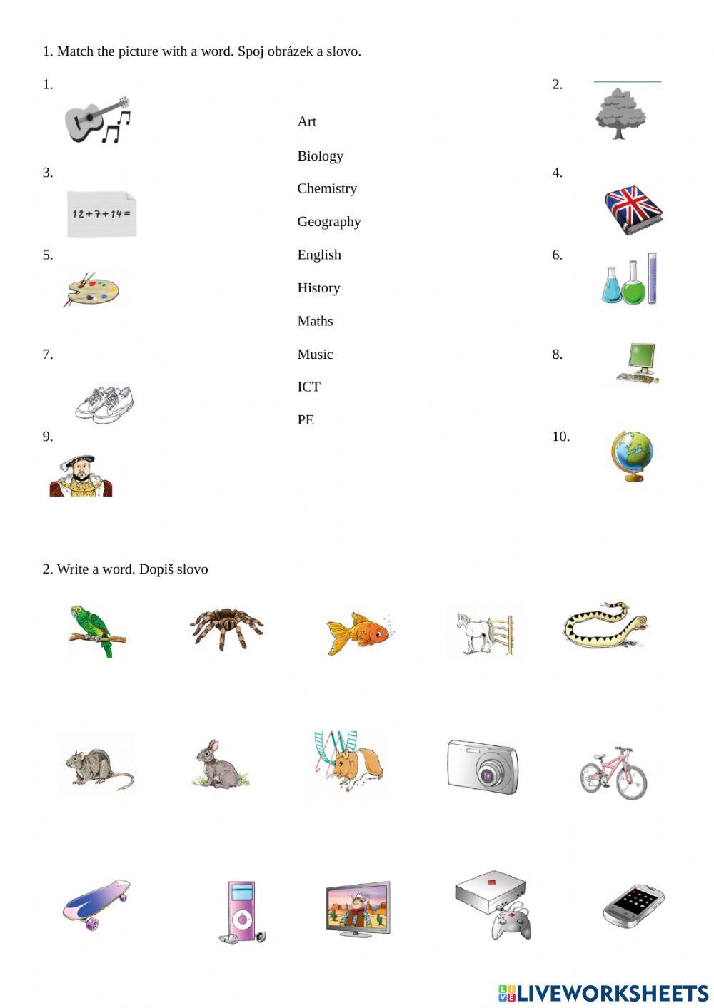 Project 1 unit3 vocabulary