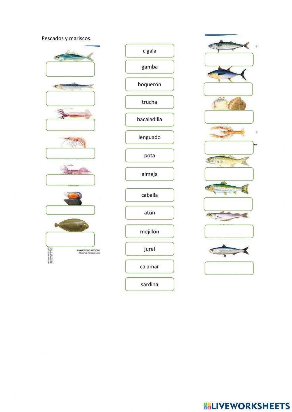 Pescados y mariscos 1