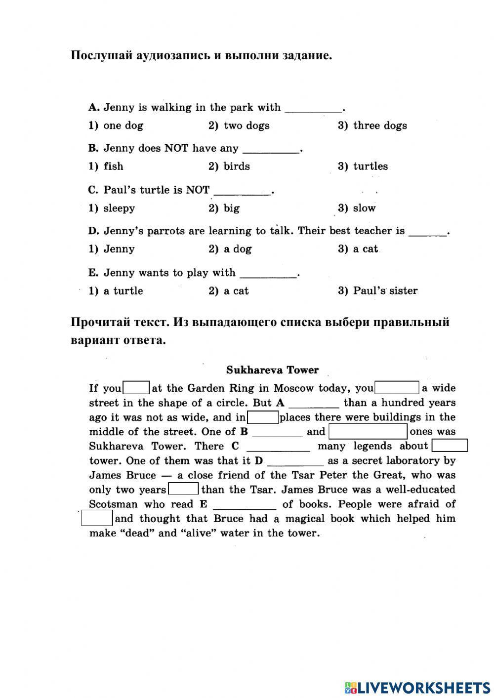 Подготовка к ВПР 7 класс. Аудирование. Грамматика