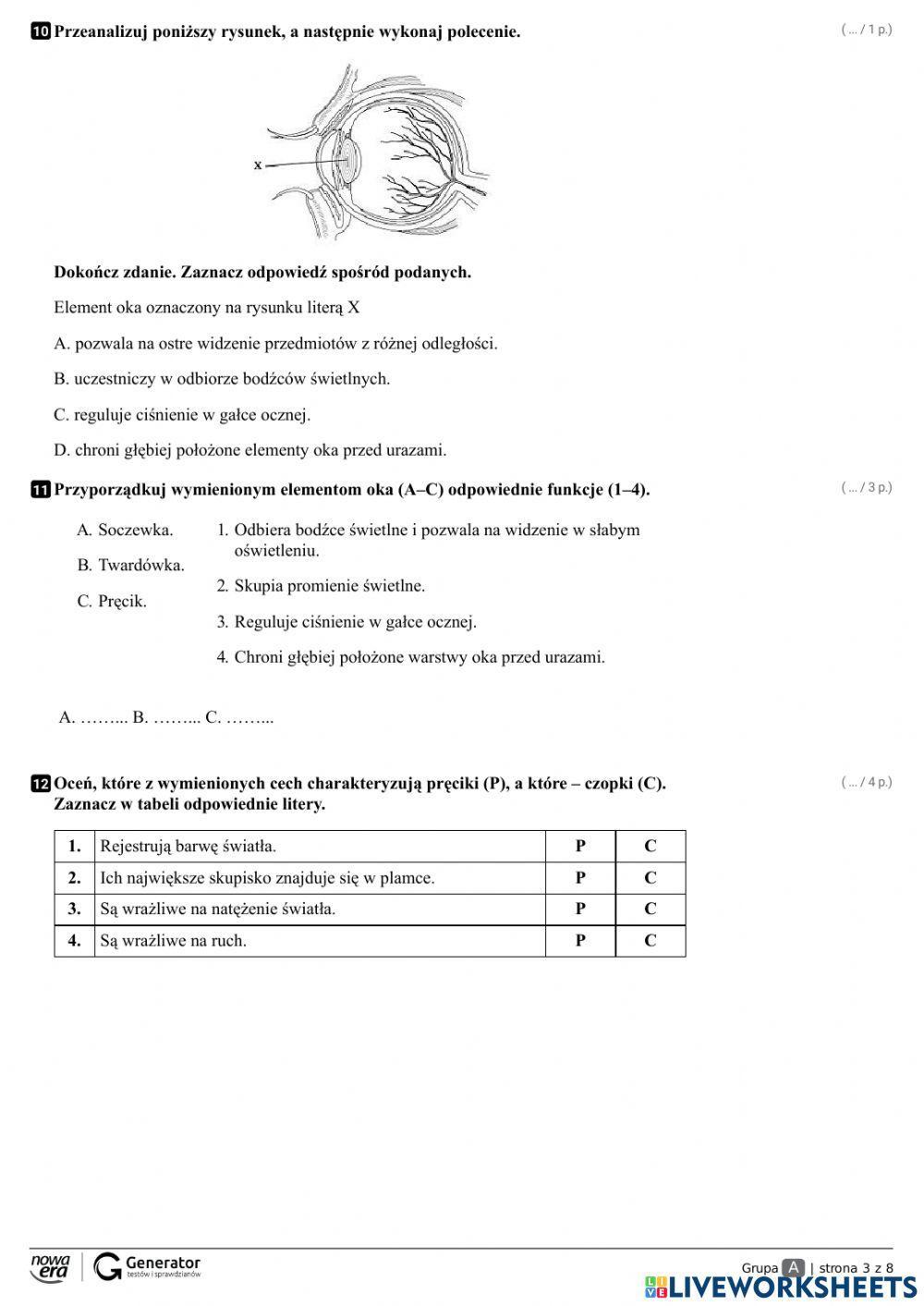 Test narządy zmysłów
