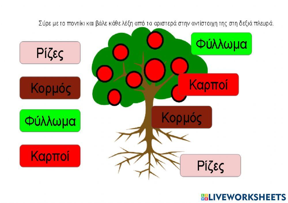 Άνοιξη-γλώσσα