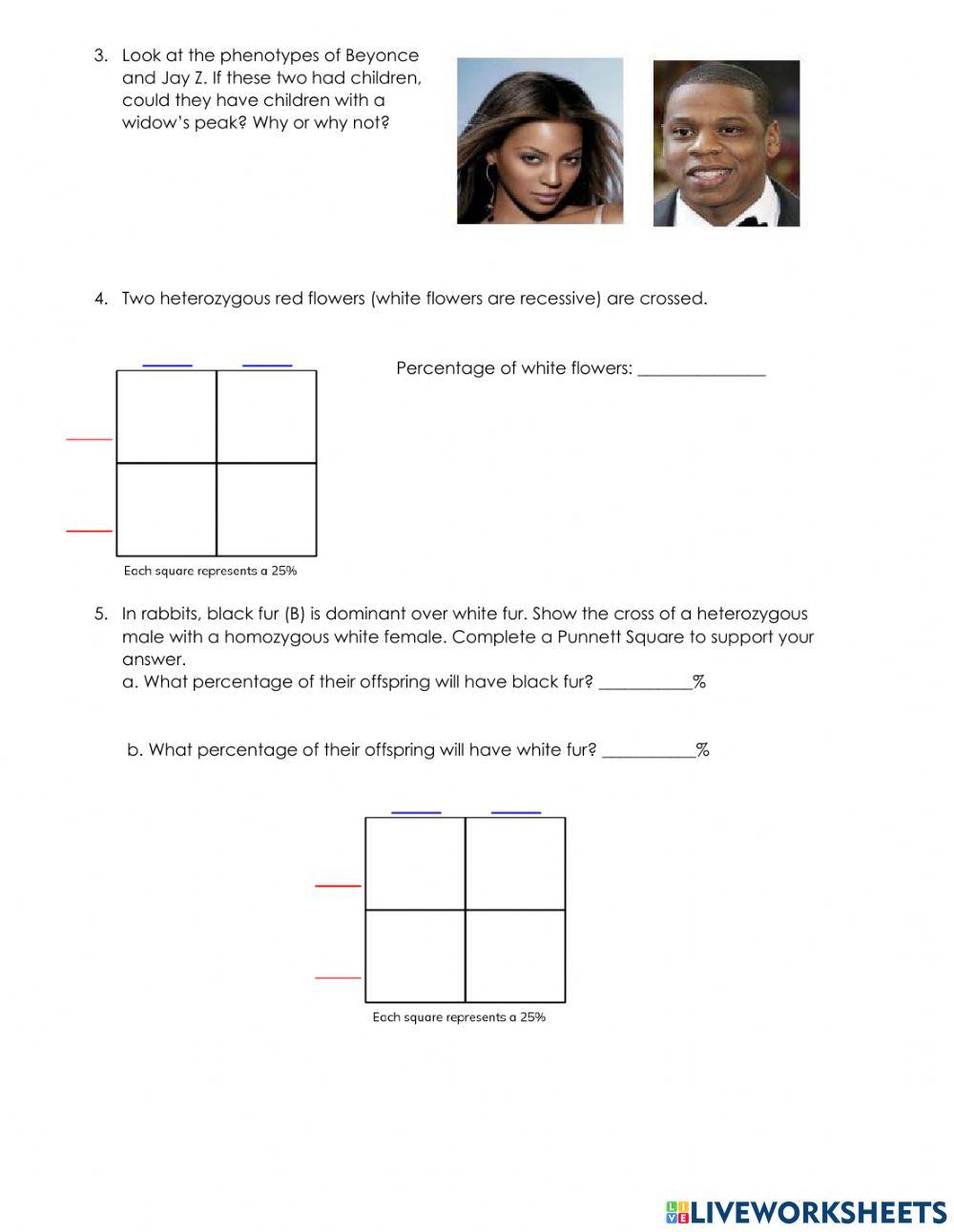 Punnett Squares- Quiz 2