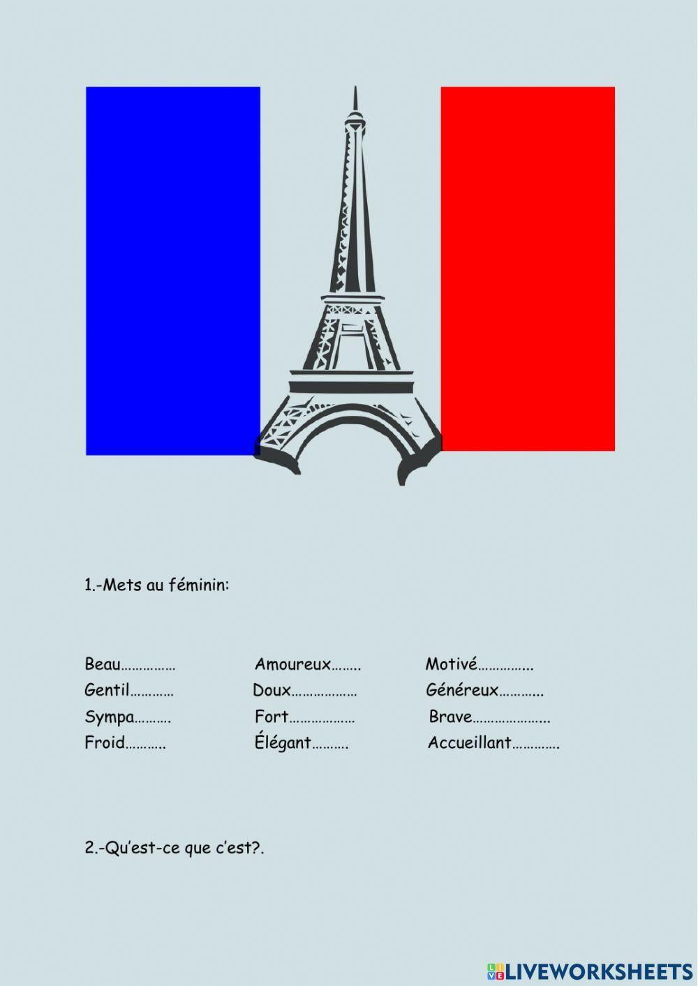 Francés femeninos y verbos auxiliares