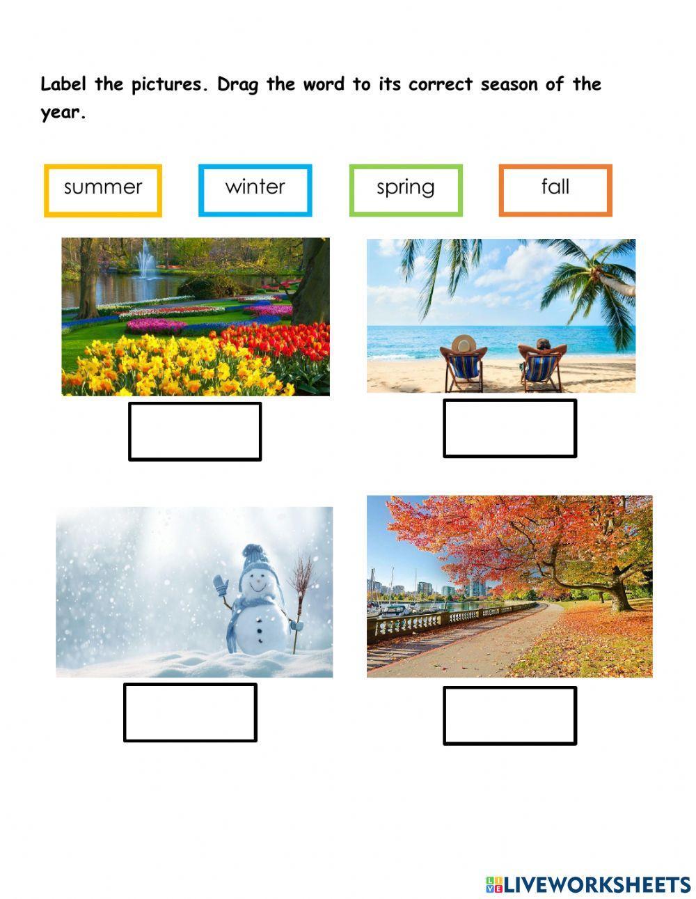 SEASONS OF THE YEAR - Final Worksheet