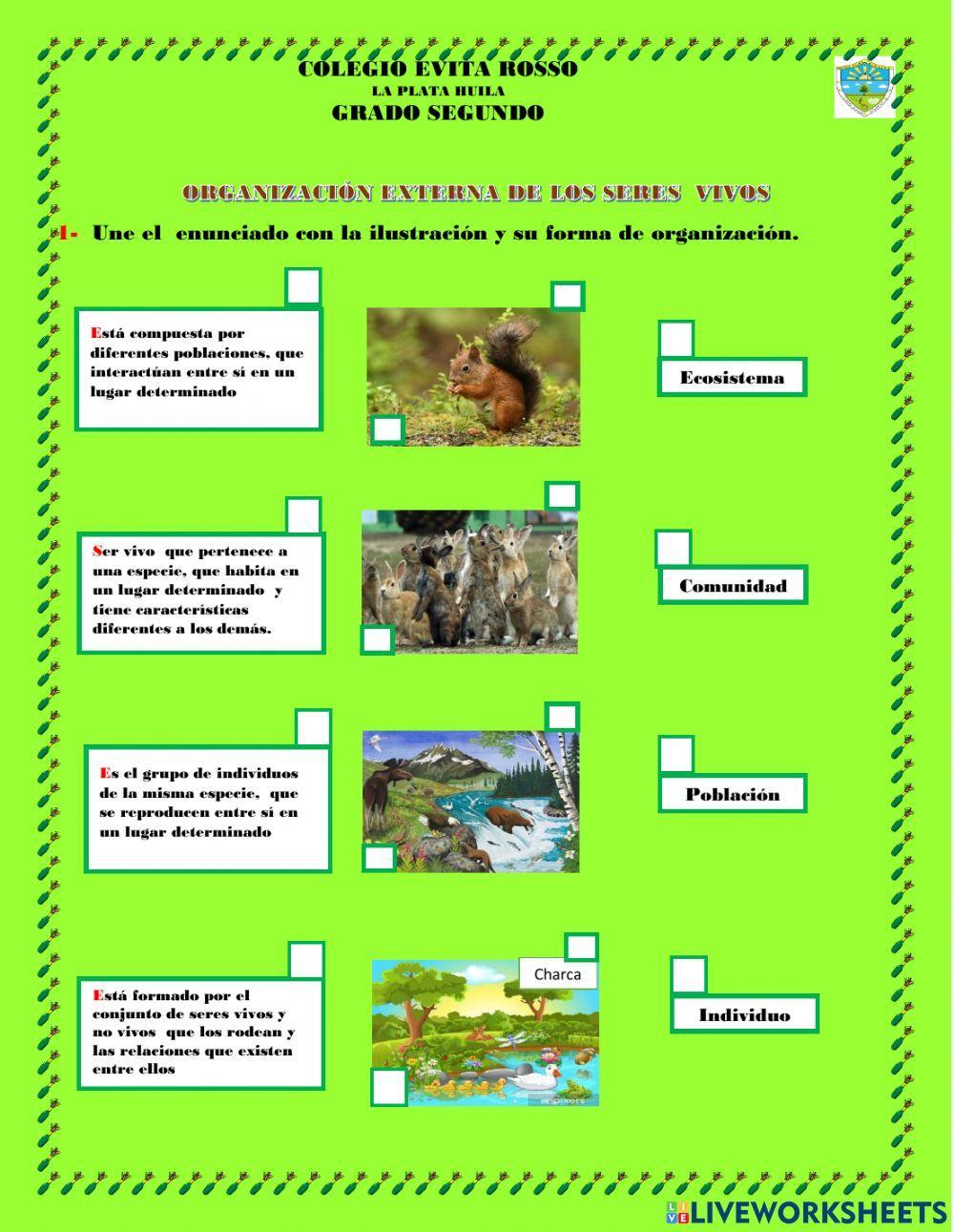 Organización externa de los seres vivos