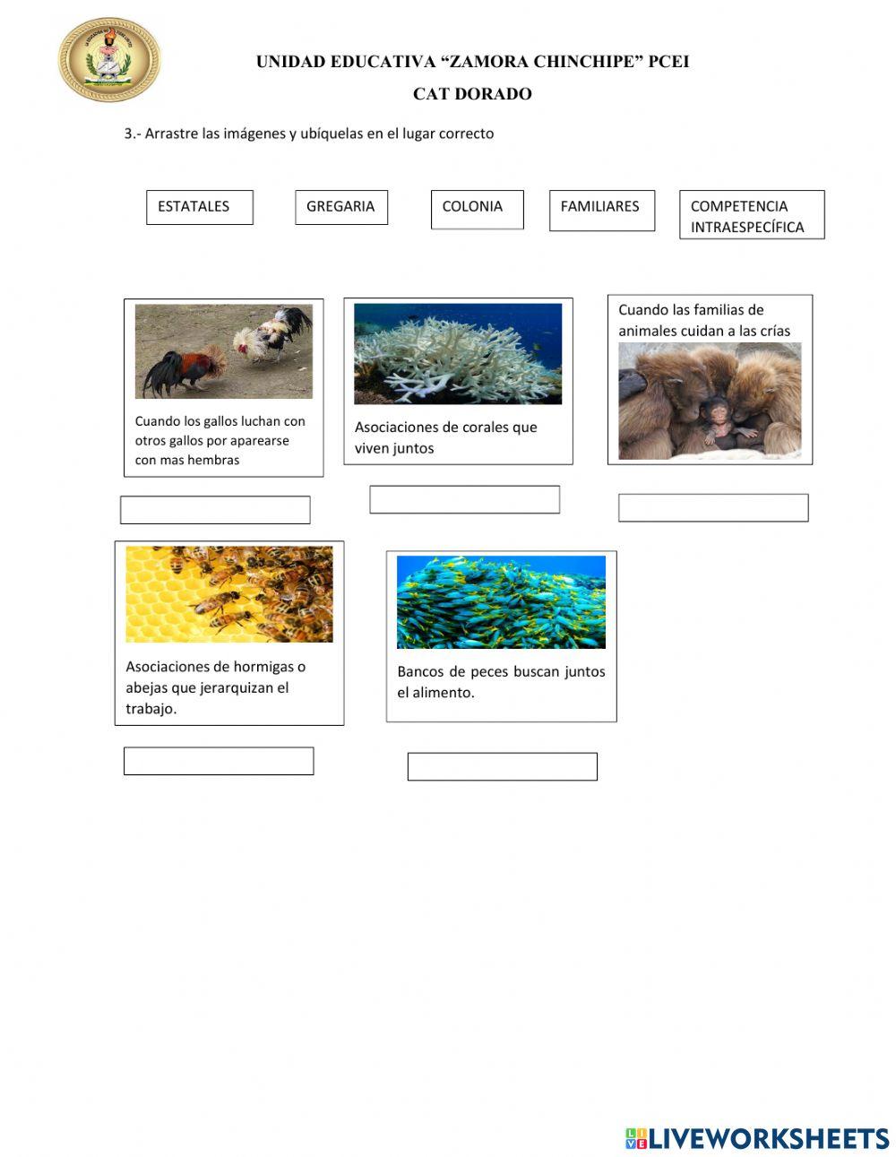 Relaciones interespecificas e intraespecificas