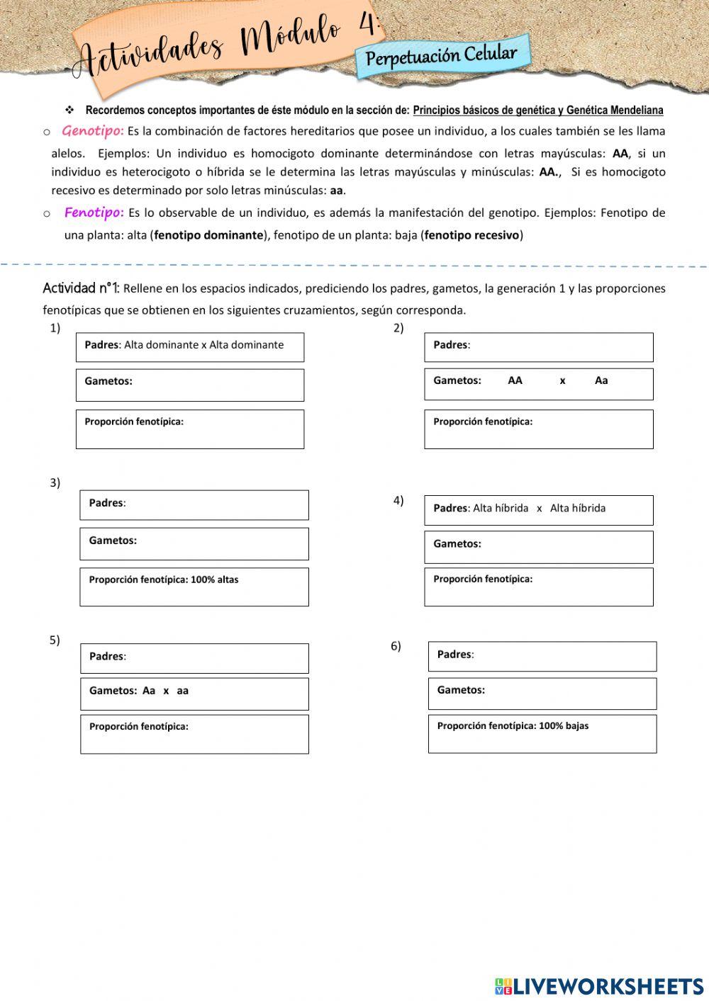 Actividades Módulo 4