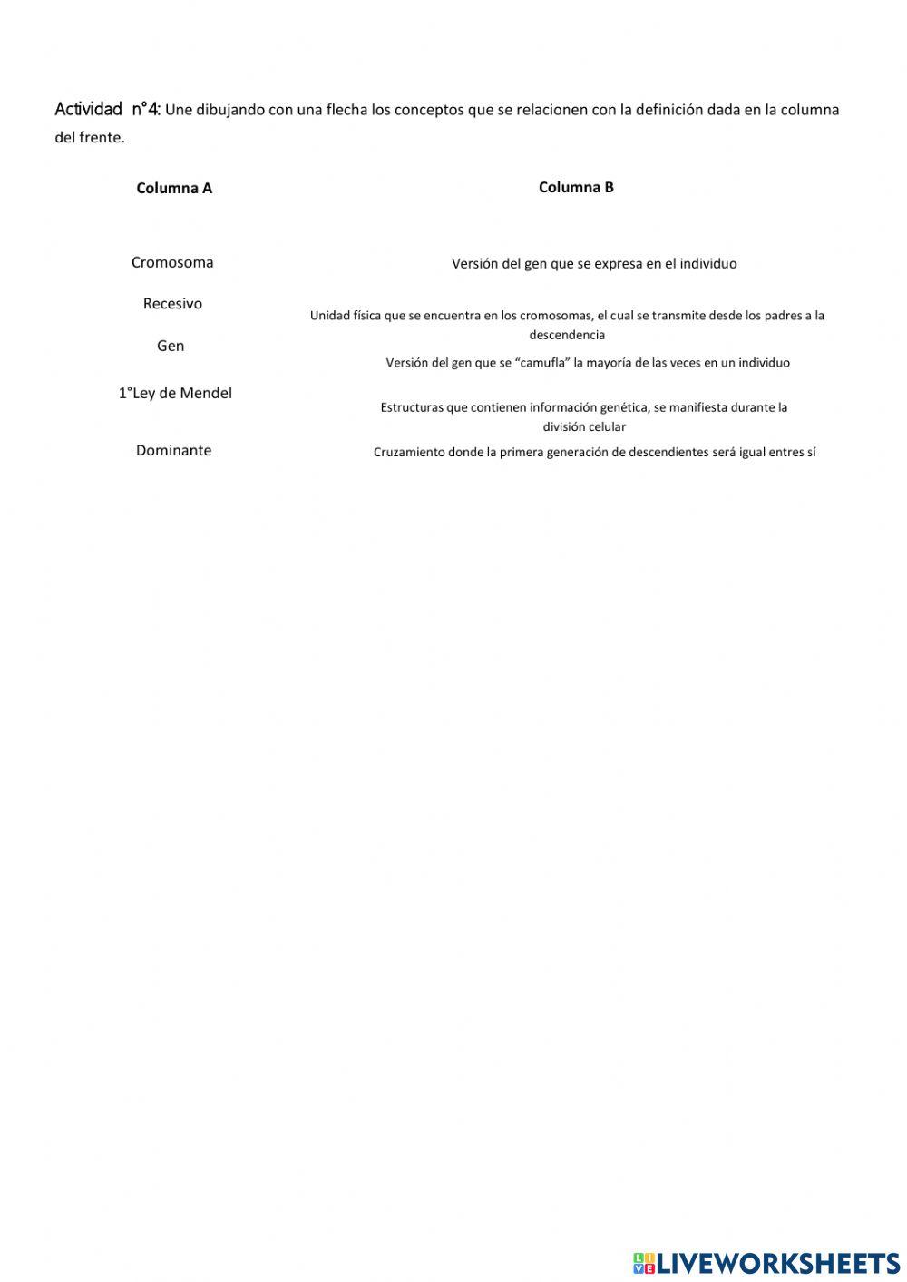 Actividades Módulo 4