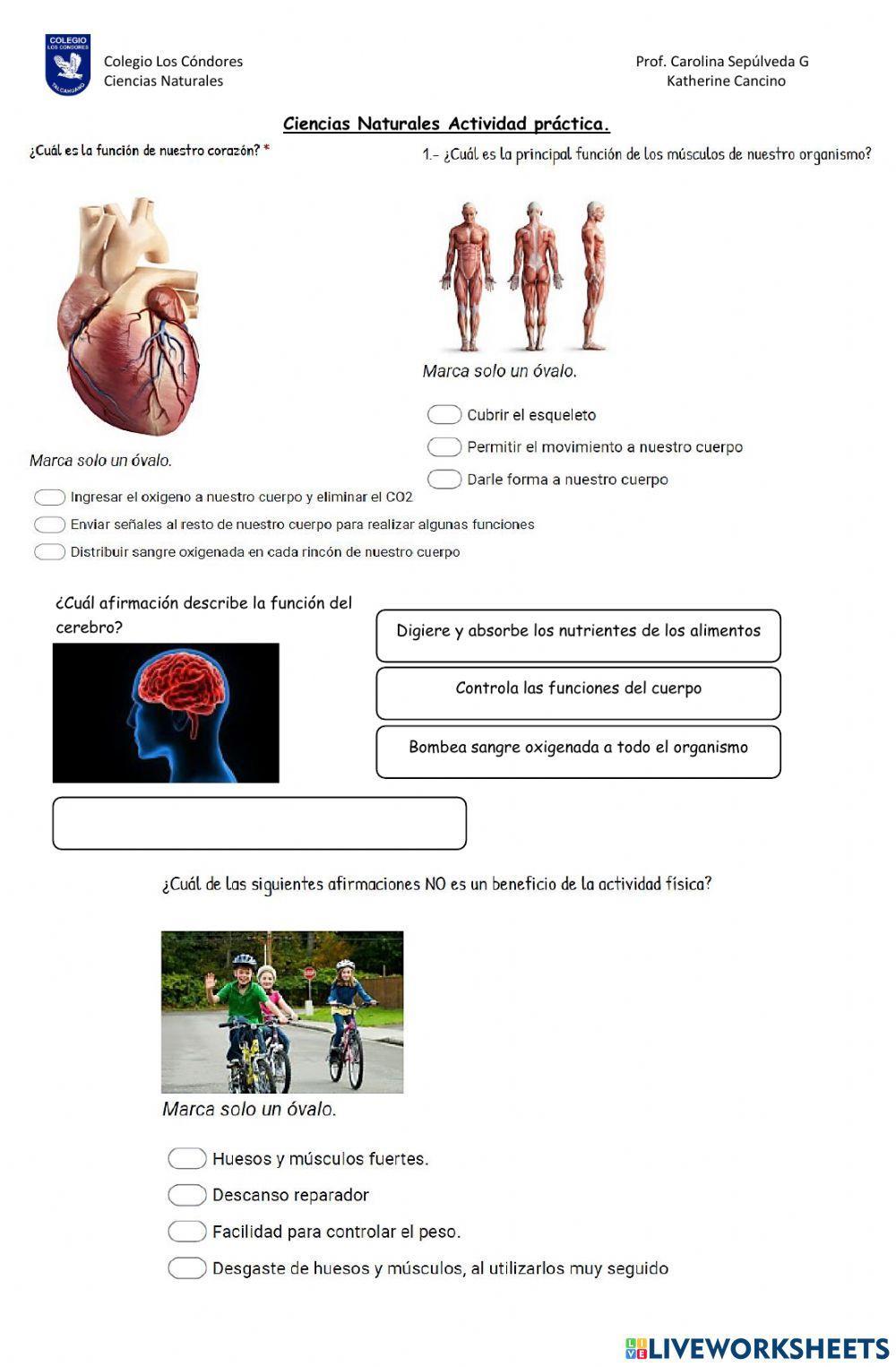 Importancia de la alimentación saludable