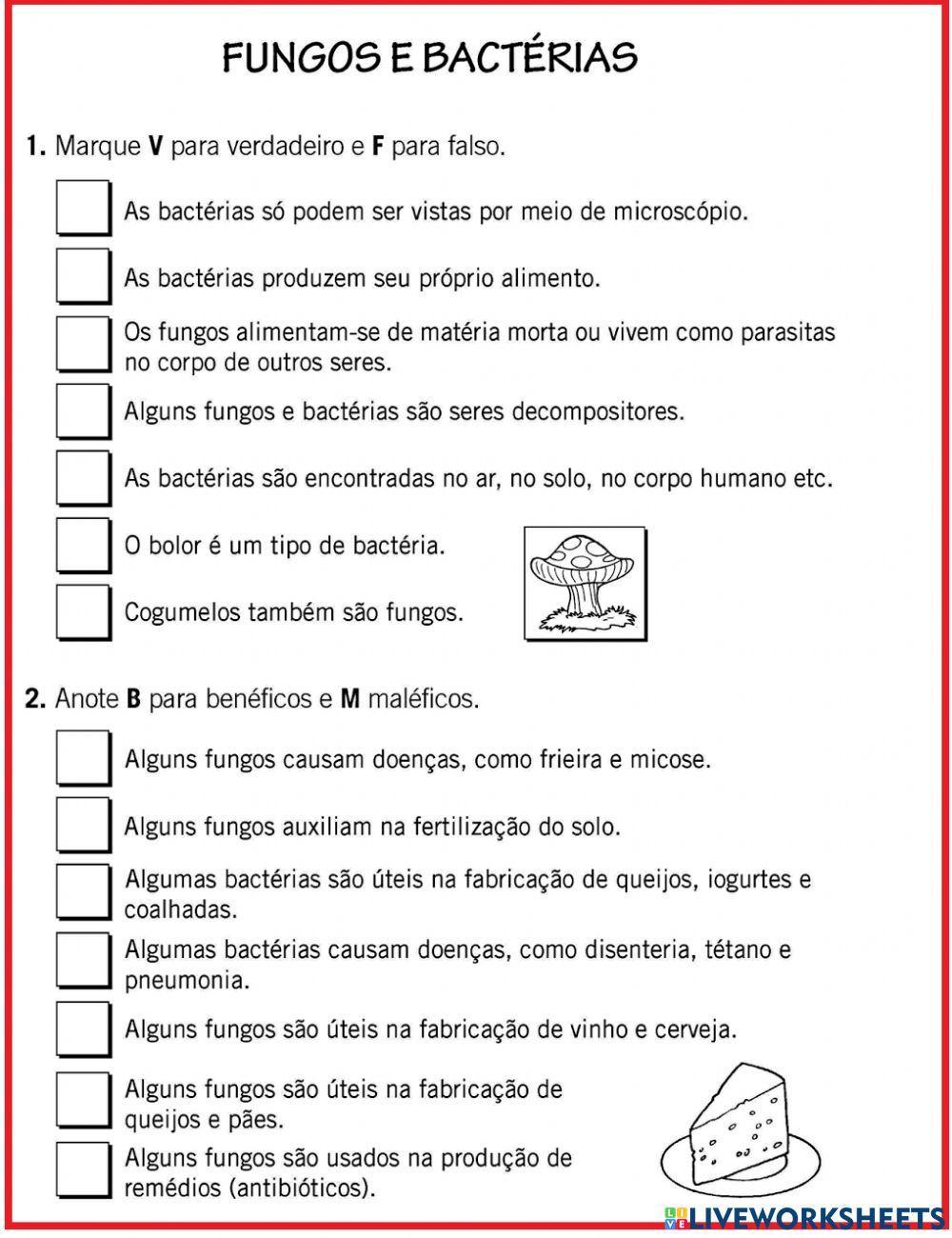 Fungos e bactérias