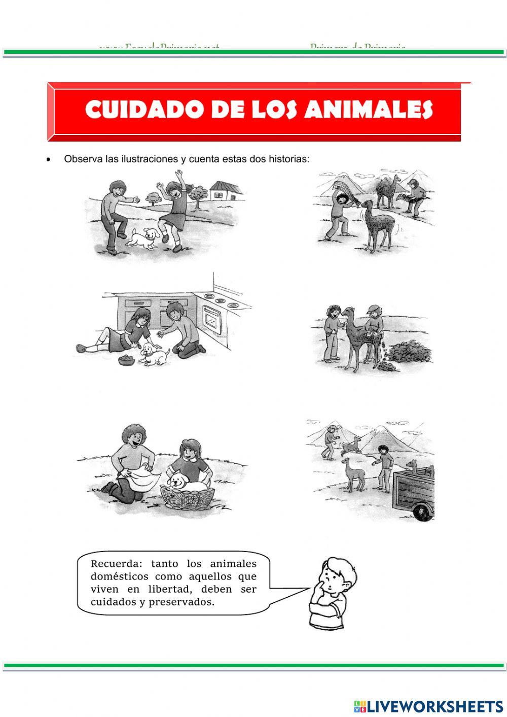 Cuidado de los animales