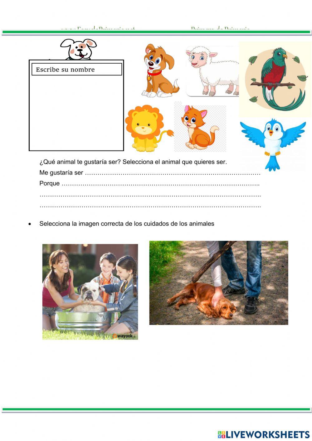 Cuidado de los animales