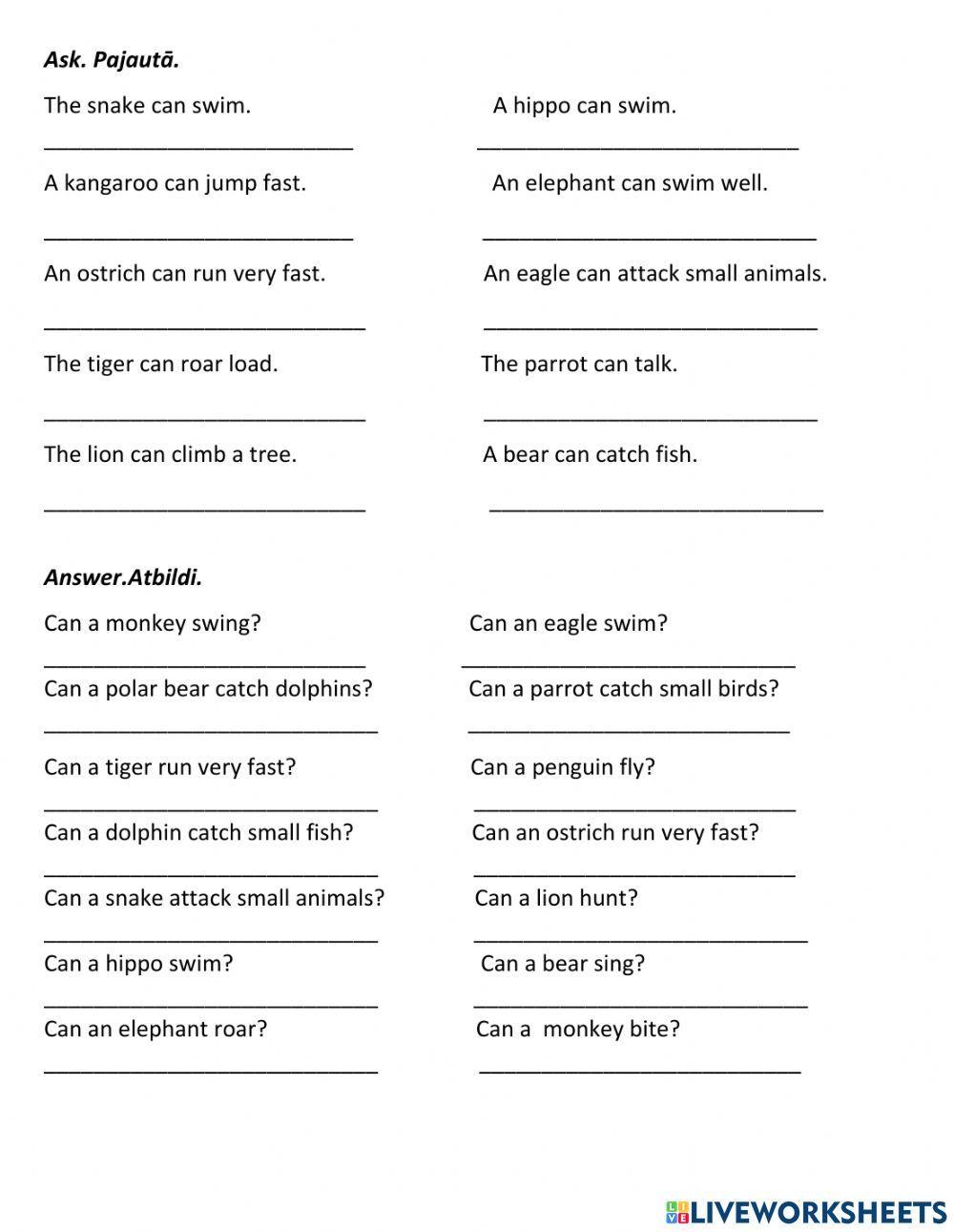 Interrogative sentences. Modal verb CAN
