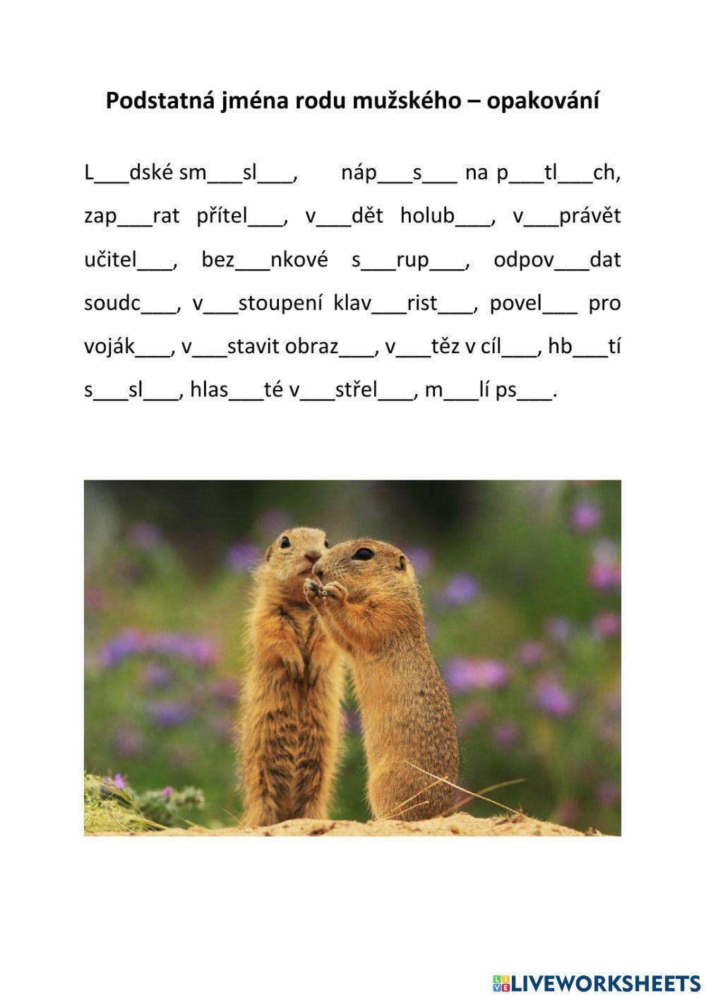 Koncovky podstatných jmen rodu mužského