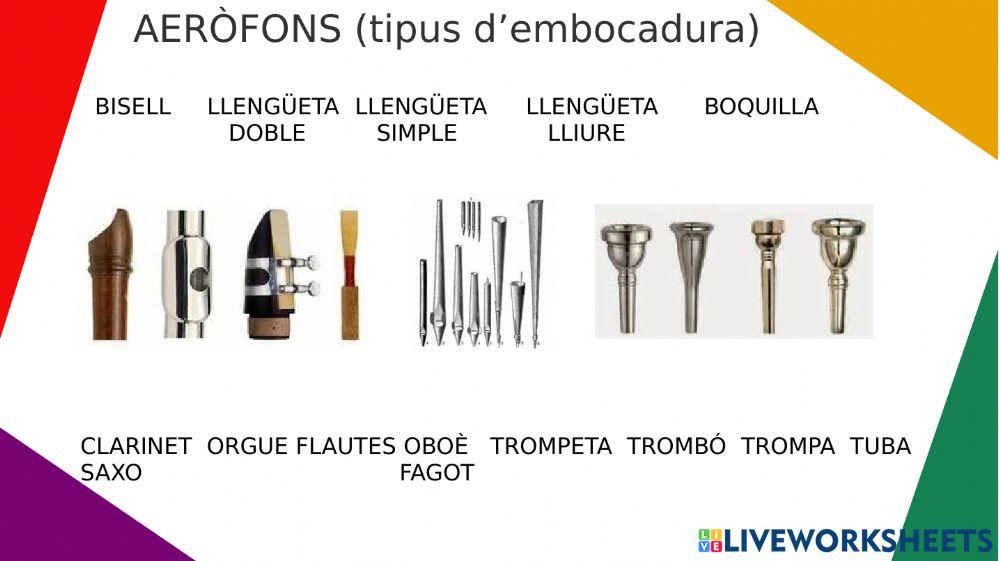Tipus d'embocadura dels aeròfons