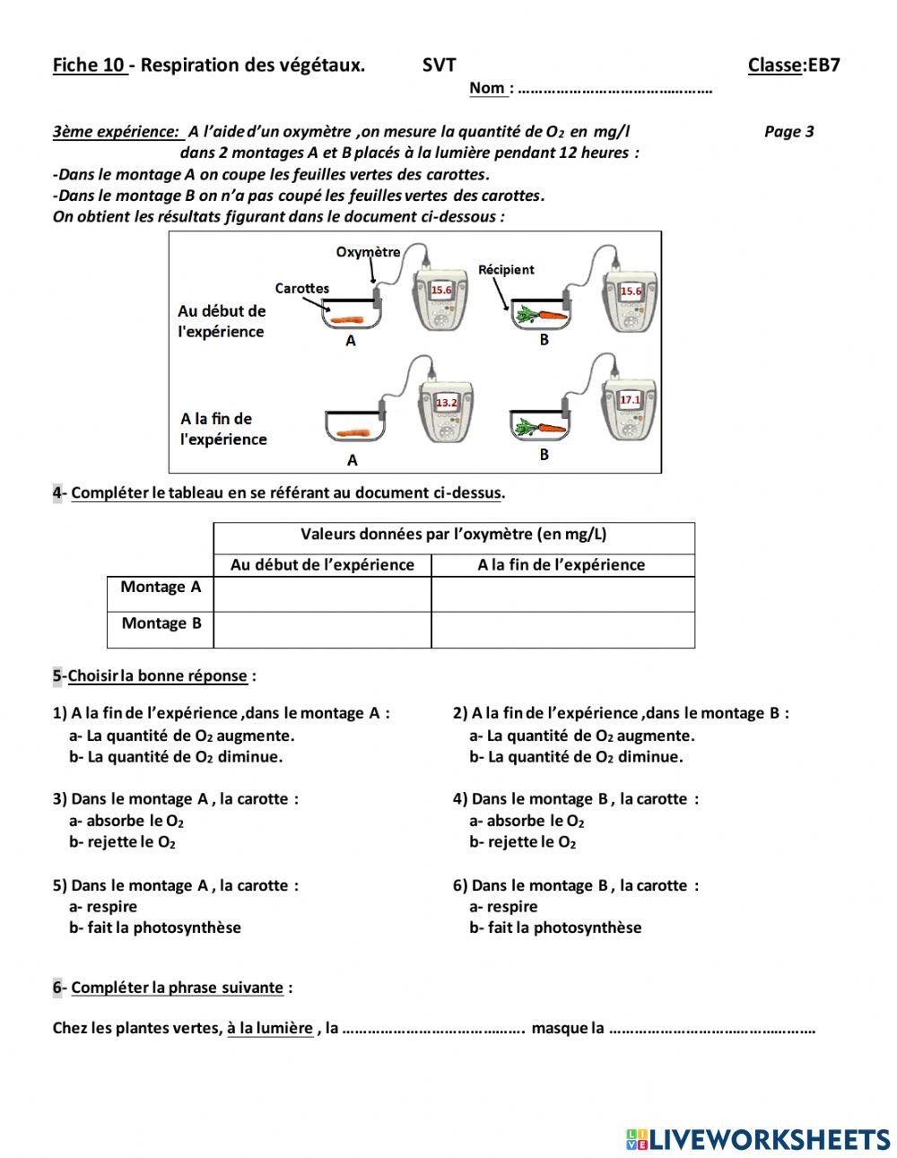 Respiration et photosynthèse