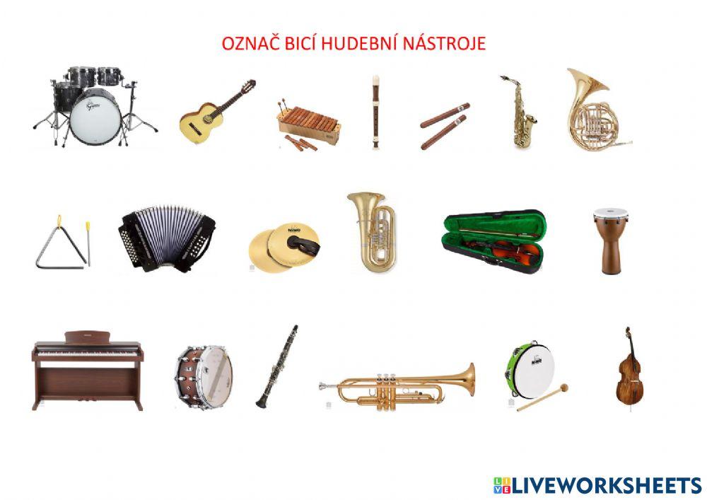 Bicí hudební nástroje