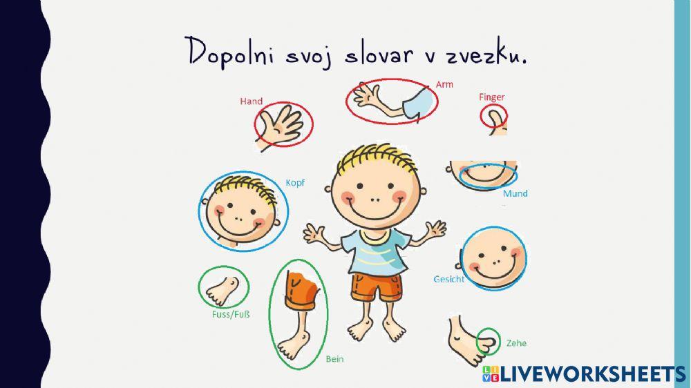 Oma Fix und die kleinen Wikinger - 2. del